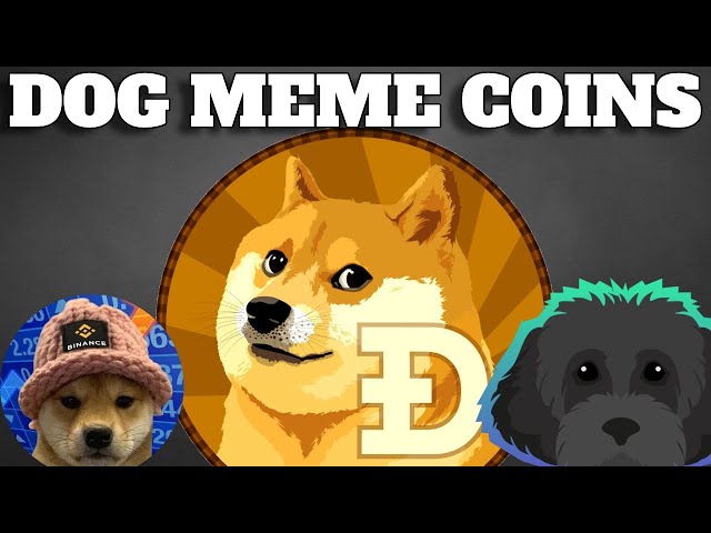 DOGE COIN PUMPING! OTHER DOG MEME COINS FOLLOW! MEME COINS EXPLODING!!