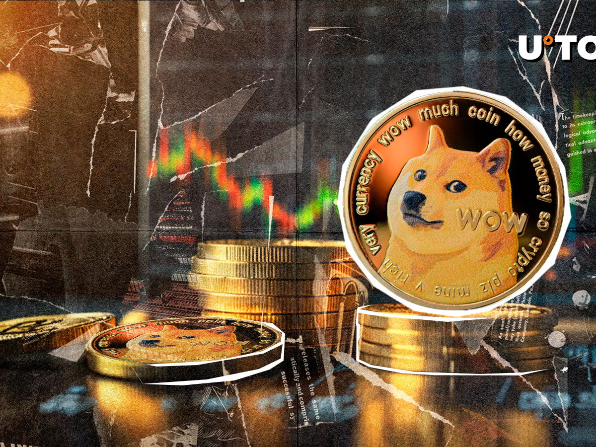 狗狗币（DOGE）7天内上涨30%：可能的原因