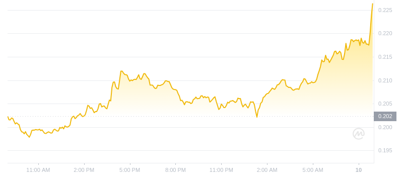 2024년 11월 10일 09:00의 Dogecoin 최신 가격