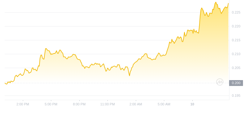 Le dernier prix du Dogecoin à 12h00 le 10 novembre 2024