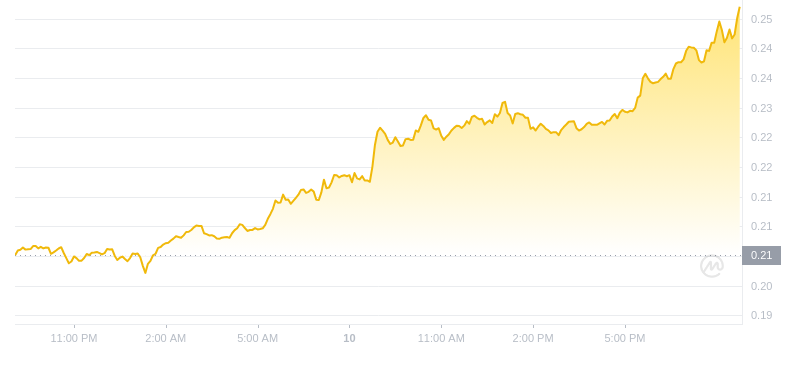 Le dernier prix du Dogecoin à 21h00 le 10 novembre 2024