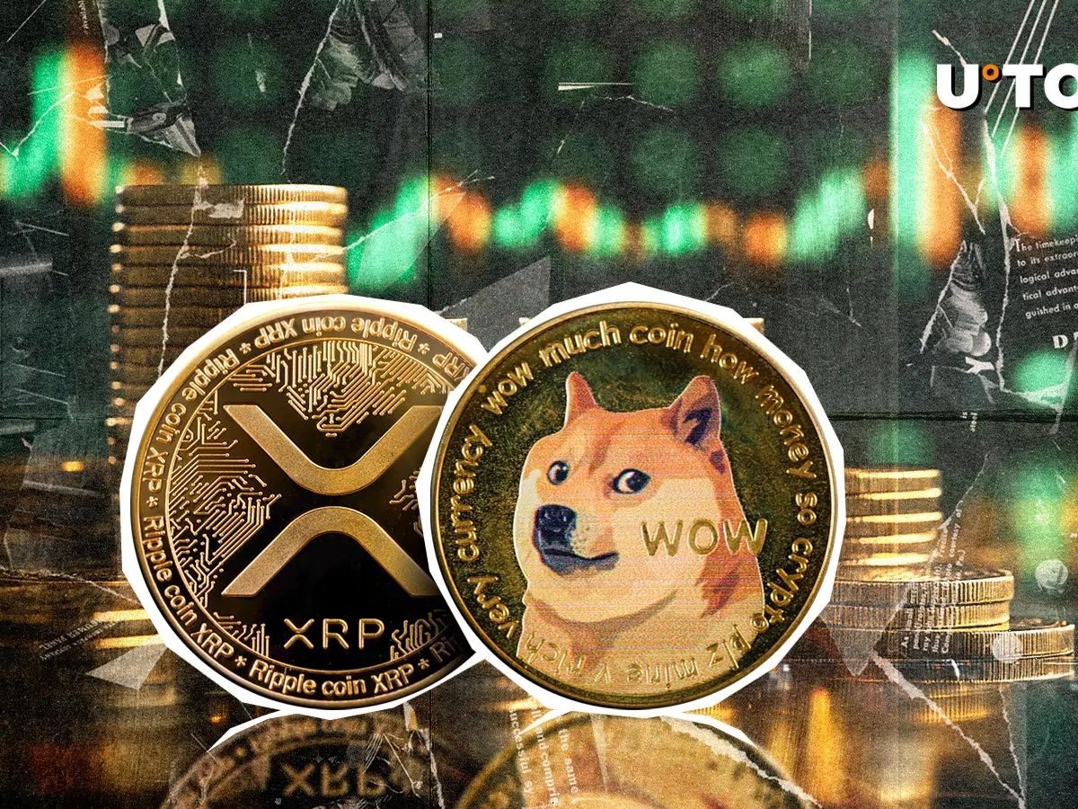 Dogecoin은 가격이 50% 급등하면서 XRP를 뒤집습니다.