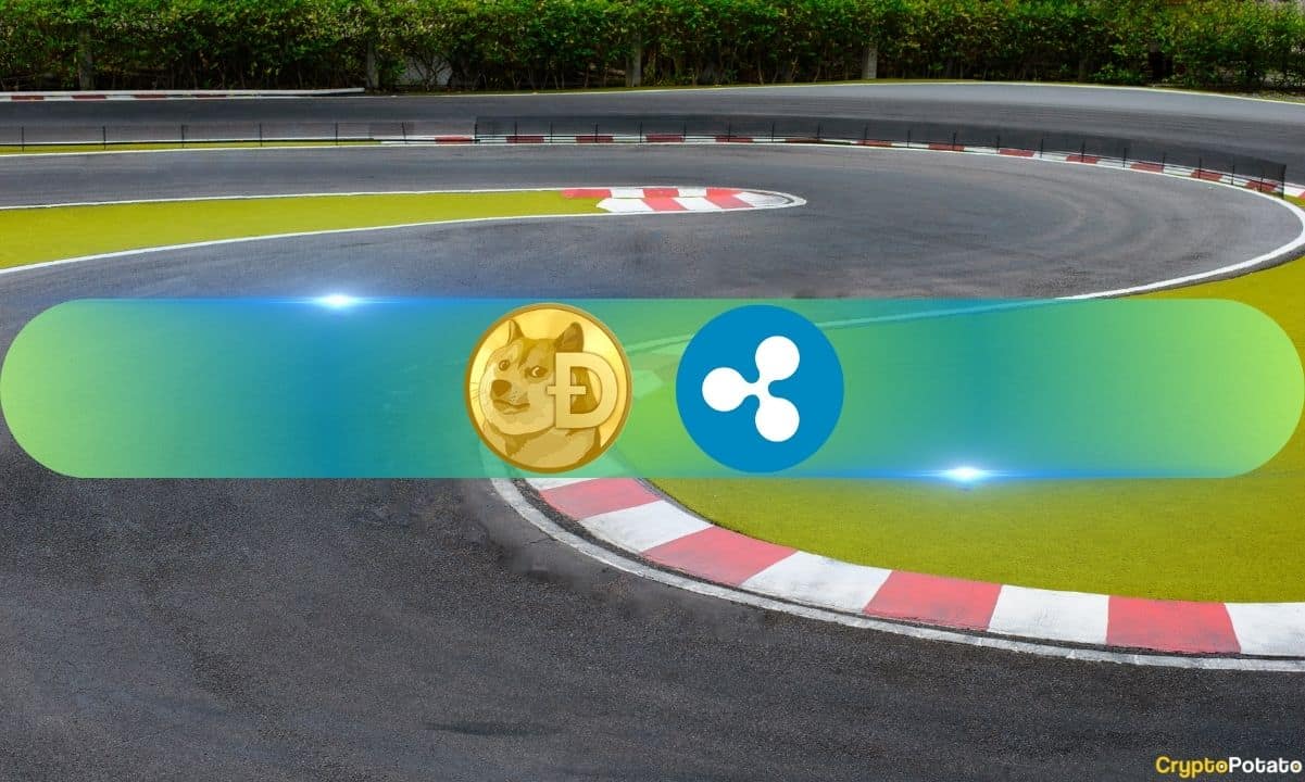 Ripple (XRP) 上涨 10% 但 Dogecoin (DOGE) 却相反