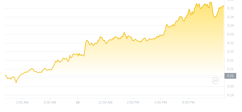 Le dernier prix du Dogecoin à 00h00 le 11 novembre 2024