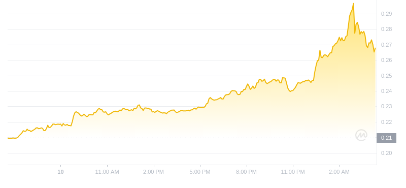 Der aktuellste Preis von Dogecoin um 04:00 Uhr am 11. November 2024