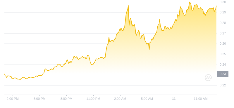 Der aktuelle Preis von Dogecoin um 13:00 Uhr am 11. November 2024