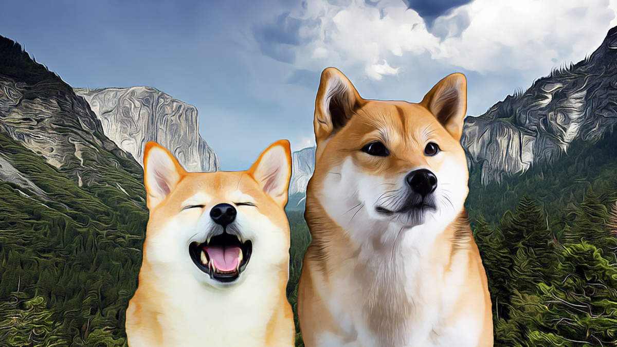 Dogecoin bondit après l’élection de Trump