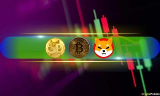 DOGE、SHIB 暴涨两位数，BTC 创下接近 8.2 万美元的新高（市场观察）