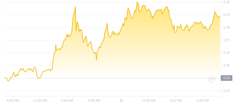 2024년 11월 11일 19:00의 Dogecoin 최신 가격