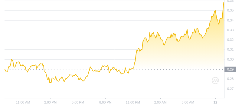 2024년 11월 12일 09:00의 Dogecoin 최신 가격