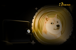 Les portefeuilles Dogecoin détiennent une augmentation de 100 000 DOGE, indiquant un intérêt croissant des détaillants