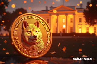 Trump und Dogecoin, ein Sieg für die Elektrifizierung von Kryptowährungen