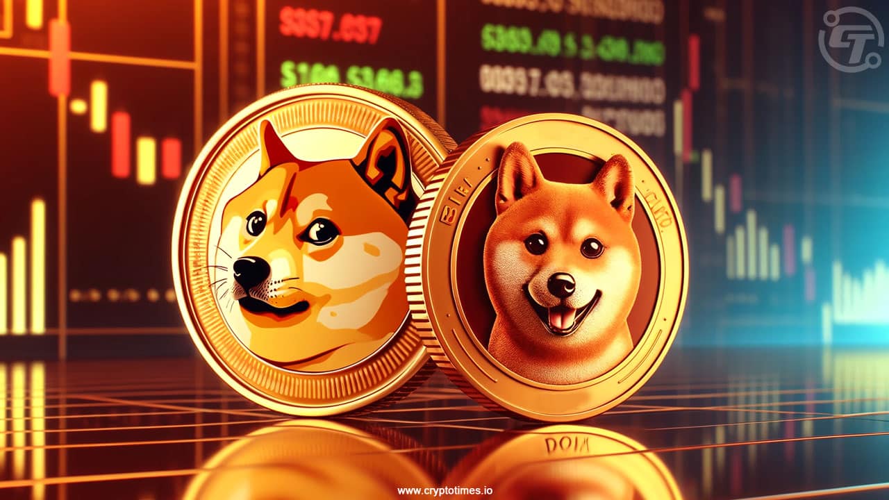 Die Preise für Dogecoin und Shiba Inu fallen innerhalb von 24 Stunden um 12 % bzw. 18 %