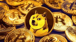 Dogecoin erholt sich: 74.000 neue Wallets beflügeln Dogecoin, während die Wale zurückgehen