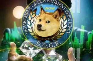 Department Of Government Efficiency Price Prediction: DOGE Soars 89% On Elon Musk, Vivek Ramaswamy Government Roles As Pepe Unchained Zooms ...