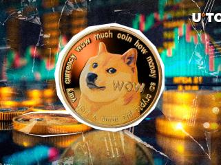 Dogecoin Foundation: Wir „arbeiten hart“ an diesem wichtigen Projekt