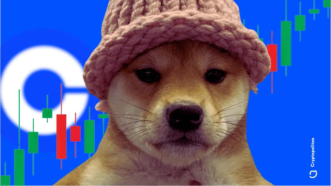 Coinbase adds Dogwifhat to its listing roadmap