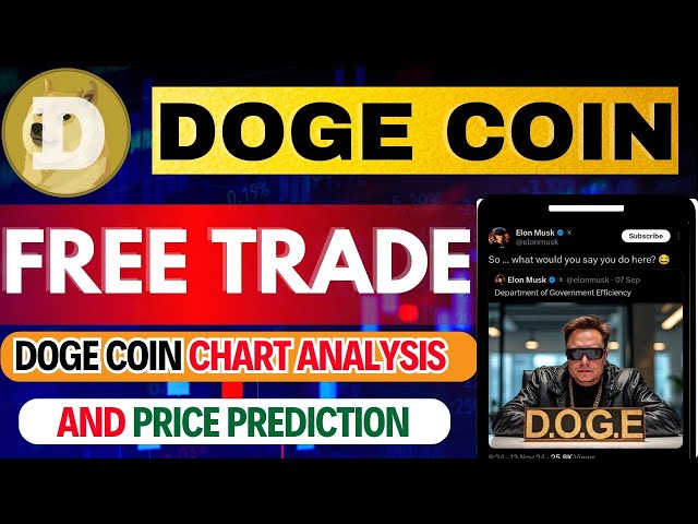 🚀DOGE DUMP WARNING!🚨Elon Musk’s Influence on DOGE Price! 🔥