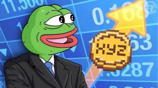 5,000% 的上涨潜力？鲸鱼零投入这个 0.0005 美元的代币，准备超越 PEPE