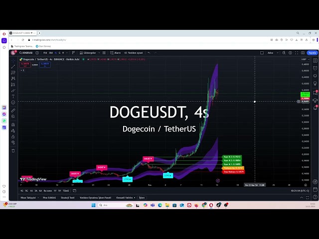 Doge Coin Cryptocurrency Strategy was analyzed #dogecoin