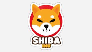 Shiba Inu Price Prediction: SHIB Surges 8%, But Experts Say Consider This Vote-To-Earn Crypto With 1,091% APY