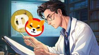 DOGE と SHIB は 1 ドルのマイルストーンを目指し、XYZ は 10 ドルへの急騰を準備しています!