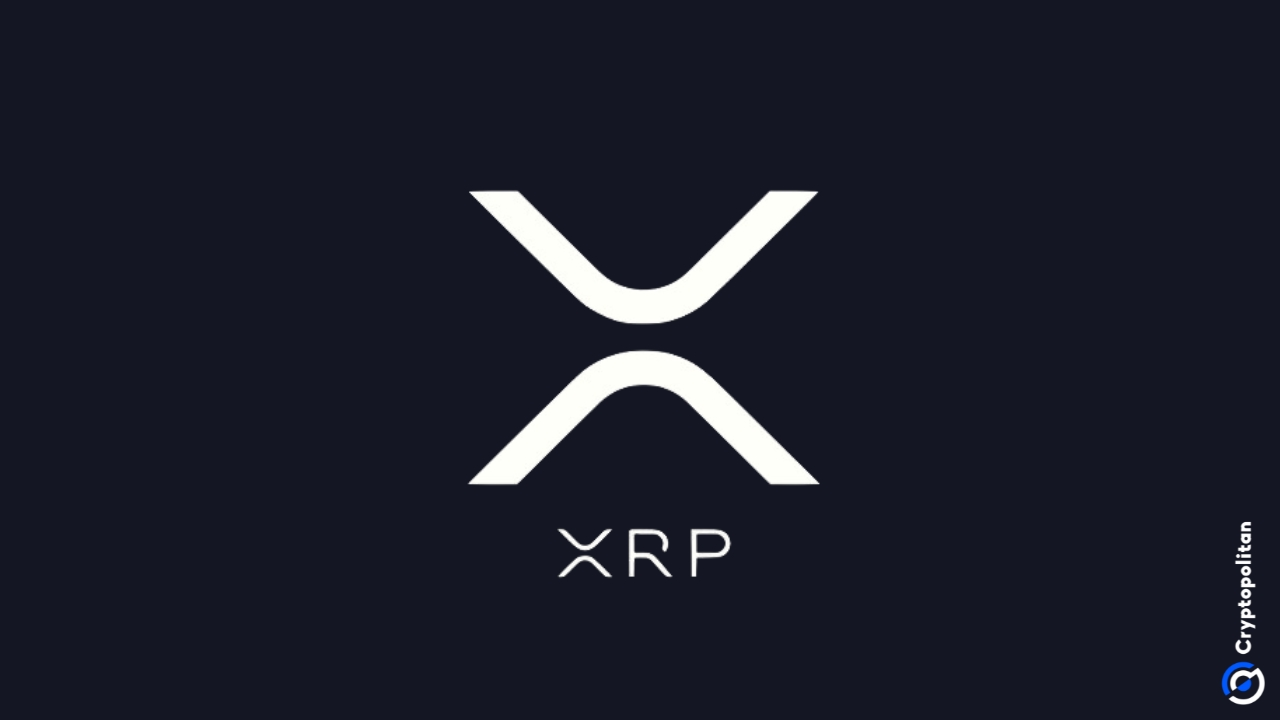 Ripple’s XRP rockets past $0.80 amid Gensler’s potential exit