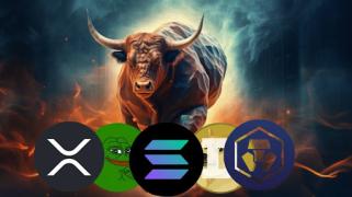 6 Must-Buy Cryptocurrencies for November 2024’s Stylish Bull Run!