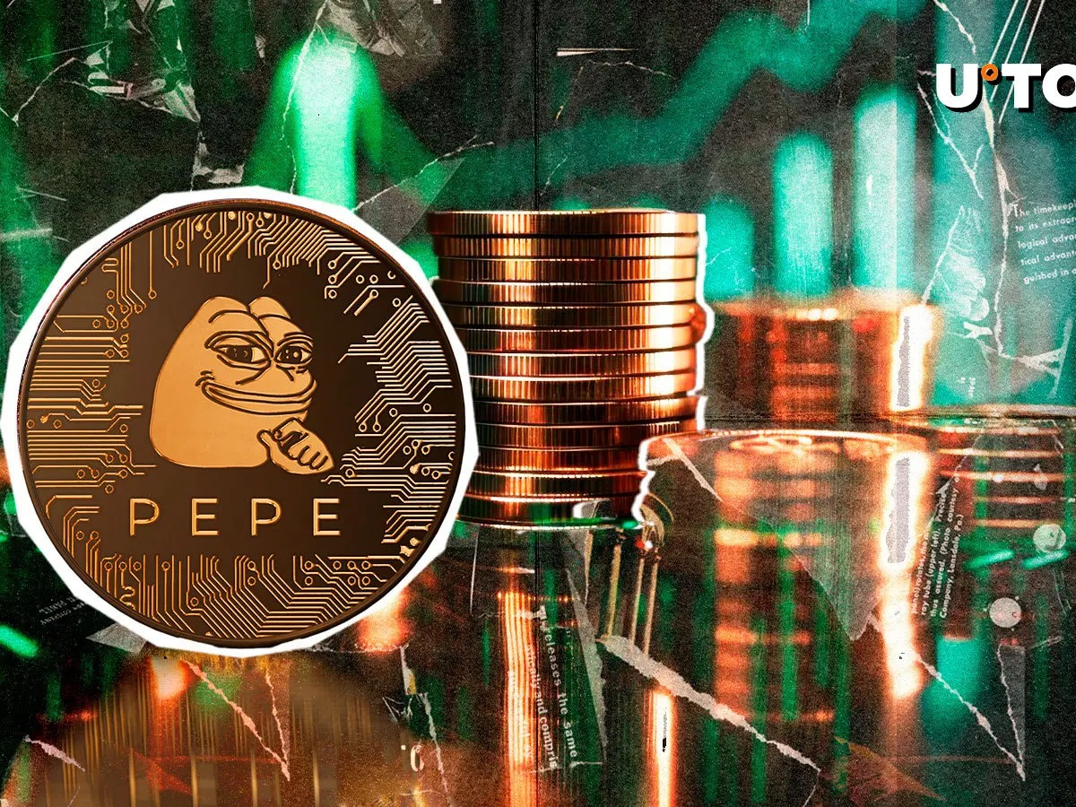 PEPE 鲸鱼流入量在 24 小时内飙升 4,479%：下一步是什么？