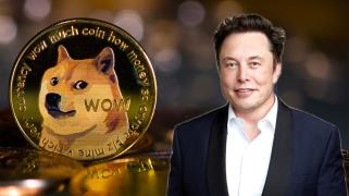 Elon Musk를 상대로 한 Dogecoin 투자자 소송은 공식적으로 법정에서 종료됩니다.