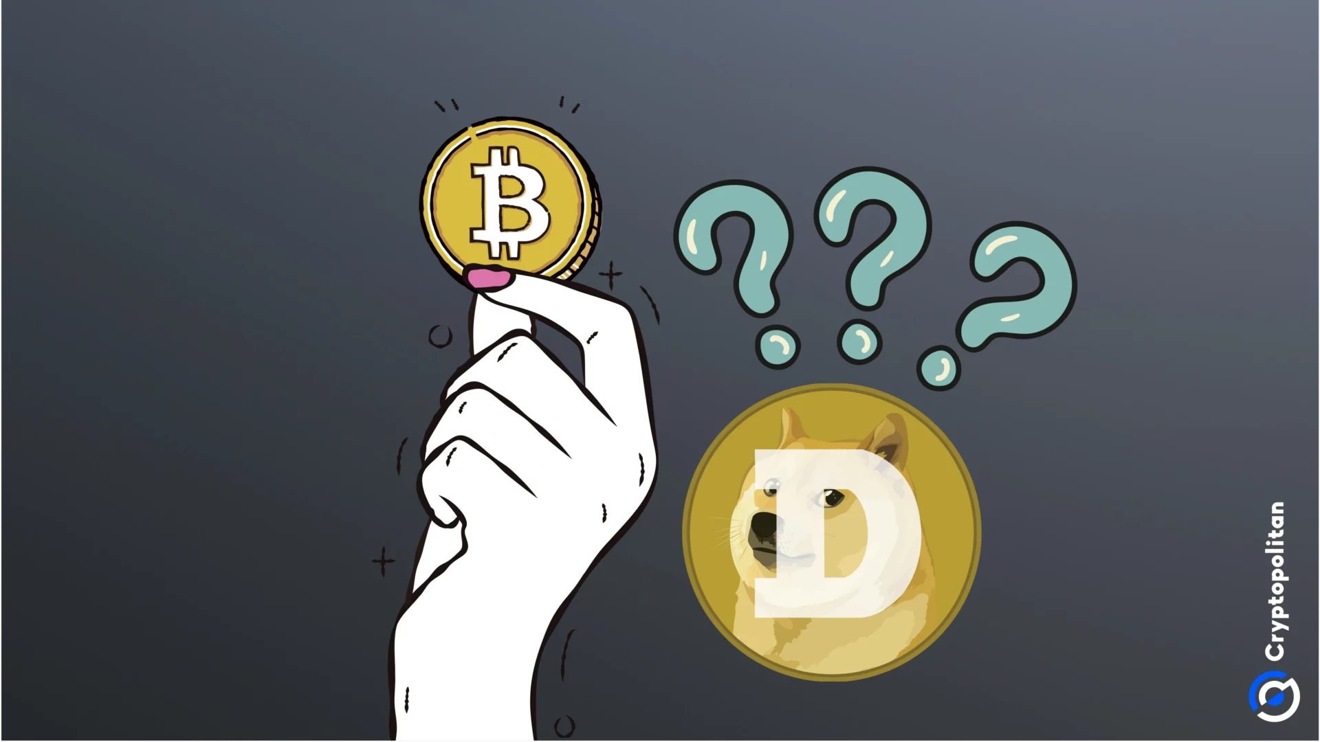 Strategische Bitcoin-Reserve? Mitbegründer sagt, warum man sich nicht mit Dogecoin eindecken sollte