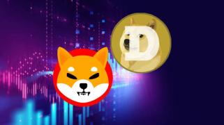 5 Promising Dogecoin and Shiba Inu Alternatives Set to 100x Your $500 Investment—A $50,000 Opportunity in Only Two Months!