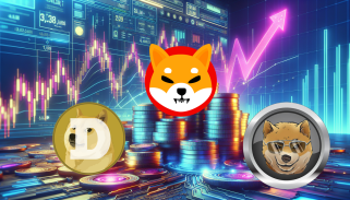 Shiba Inu et DOGE en déclin ? Cet altcoin va s'envoler de 12 000 % d'ici 2025