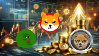 Pepe et SHIB vous ont manqué ? Découvrez ce token basé sur Solana avec un potentiel de hausse de 15 000 % !