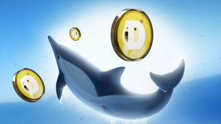 Dogecoin Whales Buy Big During Dip: Is A Price Rebound Coming