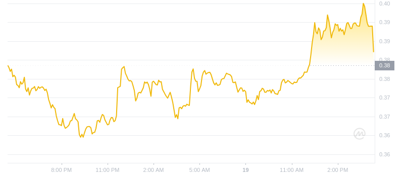 Der aktuelle Preis von Dogecoin um 16:00 Uhr am 19. November 2024