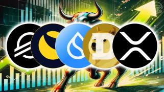 5 Altcoins, die im Bullenmarkt im November am meisten zugelegt haben