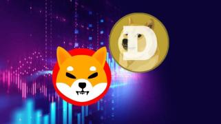 DOGE 的目標價為 3 美元，SHIB 設定了雄心勃勃的目標，XYZVerse 計劃從 0.0005 美元躍升至 5 美元！