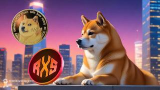 Bien avant que le grand DOGE n'atteigne les prévisions de 10 $, ce concurrent Dogecoin à 0,08 $ ne coûtait que 530 $ et pourrait atteindre 530 000 $.