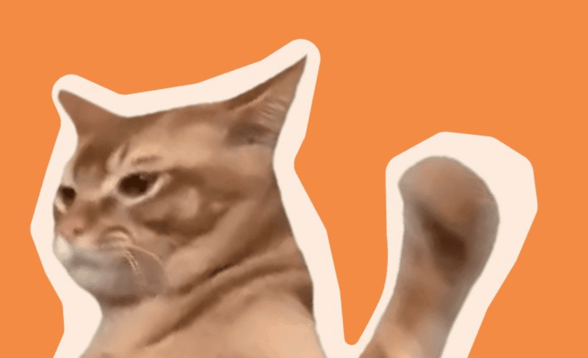 新 Meme 币 Catslap ($SLAP) 在 Uniswap DEX 上推出