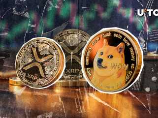 Top-Händler bezeichnen Dogecoin als Budget-XRP – und hier erfahren Sie, warum