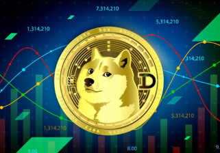 Dogecoin's November Surge: Rising Search Interest and Volatile Prices