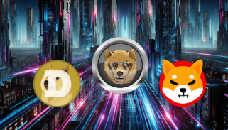 Warum Wale DOGE und SHIB im Stich lassen, um diesen neuen Solana-basierten Meme-Token mit dem Potenzial für 10.000 % Gewinn zu kaufen!