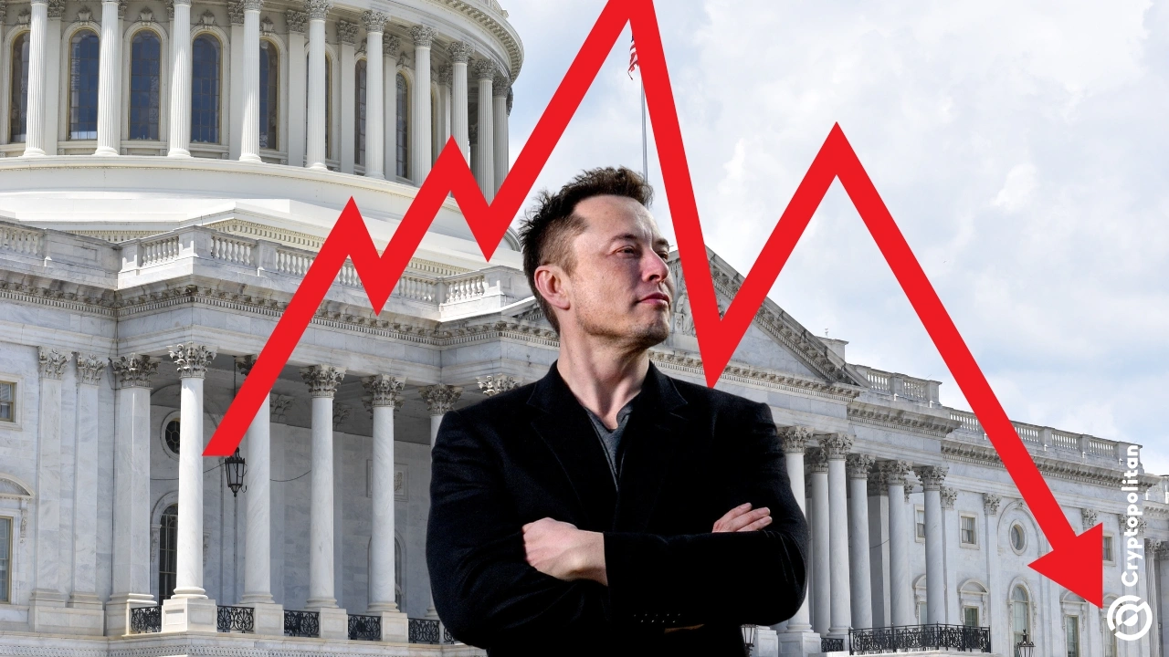 Elon Musk’s D.O.G.E could crash the US stock market