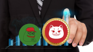 Memecoin 市场上的下一个 PEPE？这种新兴代币有望在 2025 年回归