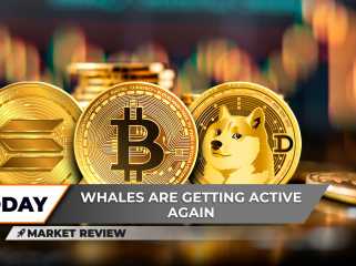 Dogecoin (DOGE) beginnt eine 1-Dollar-Welle, Bitcoin (BTC) fällt auf 100.000 Dollar: Details, Solana (SOL) wird in 3 Tagen getestet