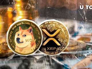 Dogecoin (DOGE) et XRP brillent alors que les liquidations cryptographiques atteignent 493 millions de dollars