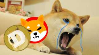 Les initiés de la crypto-monnaie parient que ce jeton Meme à 0,000667 $ défiera Dogecoin et Shiba Inu lors de la prochaine course haussière !