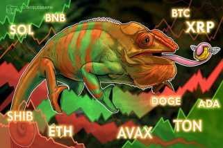 11/27 가격 분석: BTC, ETH, SOL, BNB, XRP, DOGE, ADA, AVAX, TON, SHIB