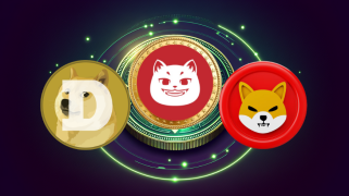 From Underdog to Top Cat: CATZILLA x500 Potential Set to Outpace DOGE and SHIB in 2024!